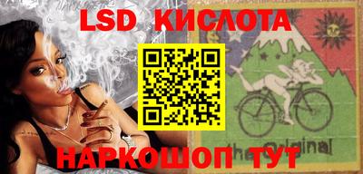 прущие грибы Будённовск