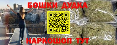прущие грибы Будённовск