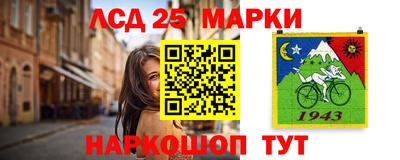 прущие грибы Будённовск