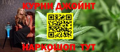 прущие грибы Будённовск